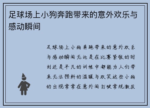 足球场上小狗奔跑带来的意外欢乐与感动瞬间