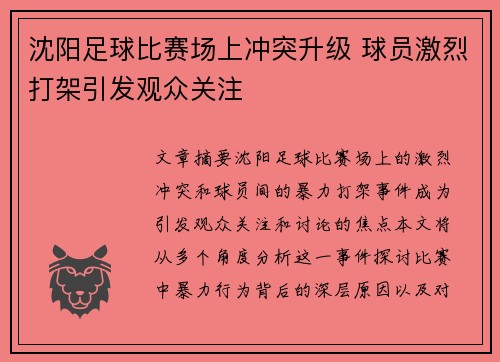 沈阳足球比赛场上冲突升级 球员激烈打架引发观众关注
