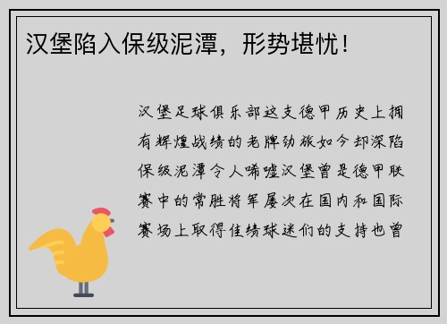 汉堡陷入保级泥潭，形势堪忧！